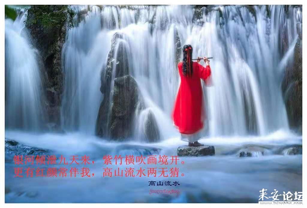 救援大胡子斗士