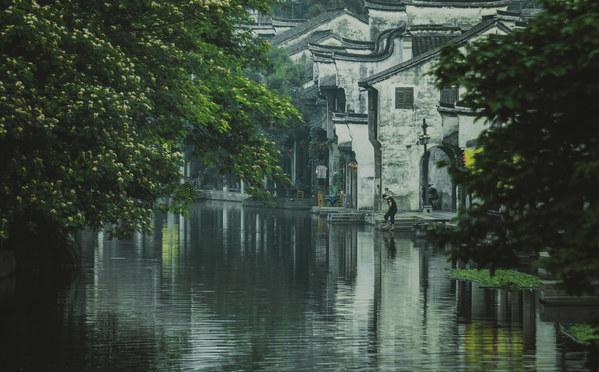 帅气还阔爱，元UP来啦
